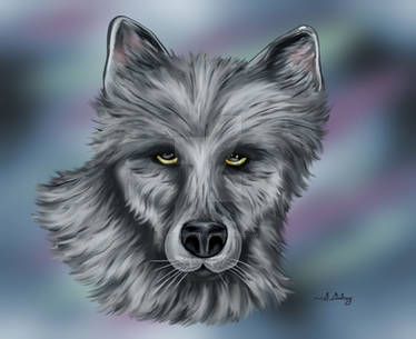 Wolf Watcher SGG