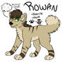 Rowan ref.