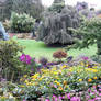 Queen Elizabeth Park 2