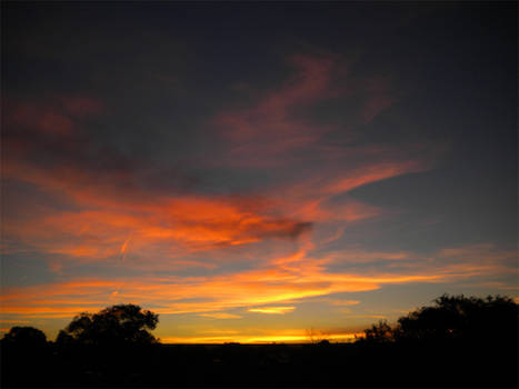 Desert Sky