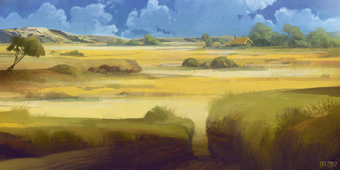 yellow_fields