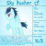 Sky Dasher Bio