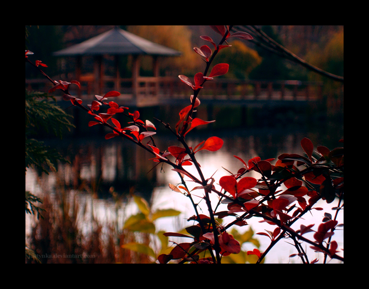 Japanese garden3