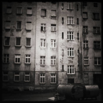 Holga 3