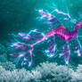 Electric Sea Dragon + White Coral