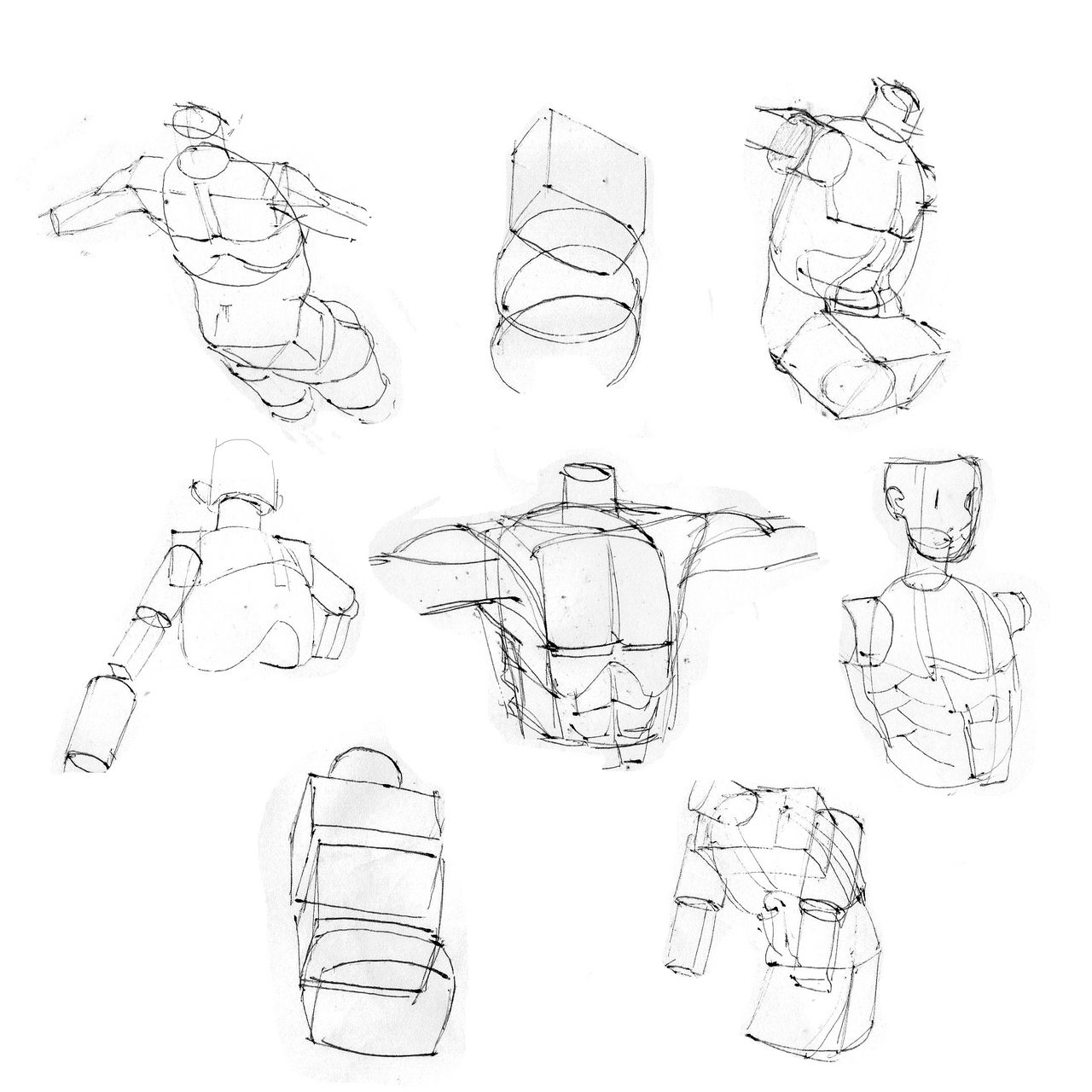 Deviantart Ribs Arched Rib cage by bluecaptain1225 on DeviantArt