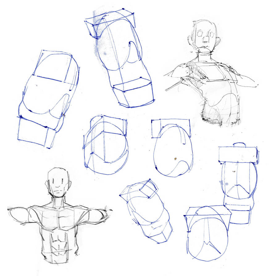 Deviantart Ribs Arched Rib cage by bluecaptain1225 on DeviantArt