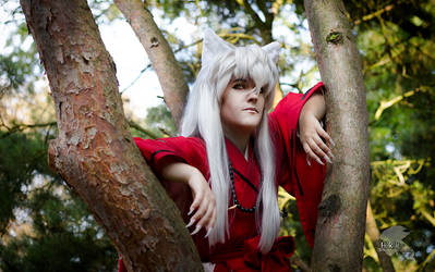 Inuyasha