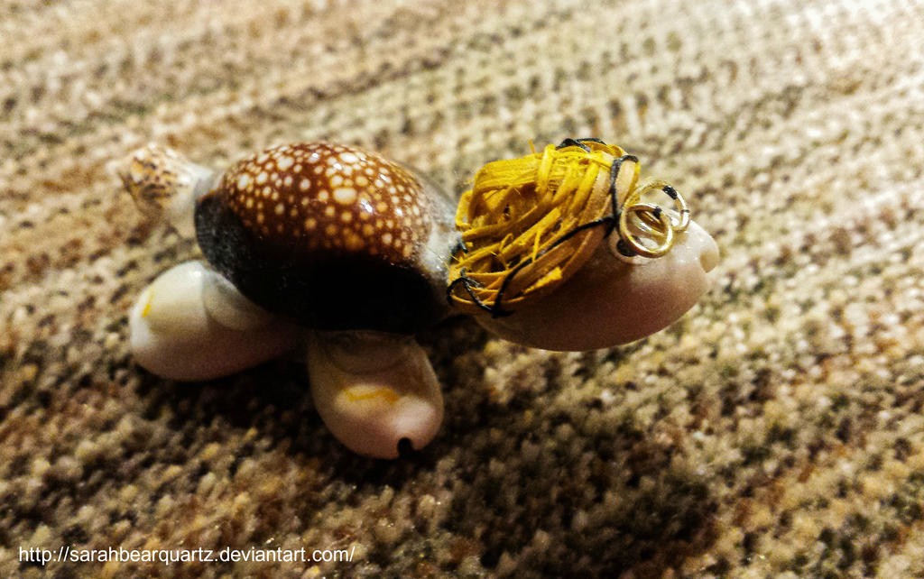 Deviantart Softshell Turtle Seashell Turtle by SarahBearQuartz on DeviantArt