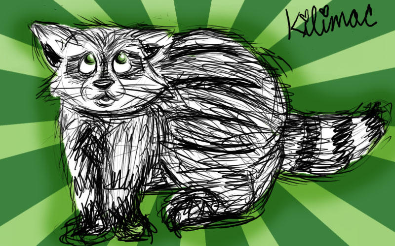 Fat Raccoon Draw fat fat fatty fat raccoon by Kilimac on DeviantArt