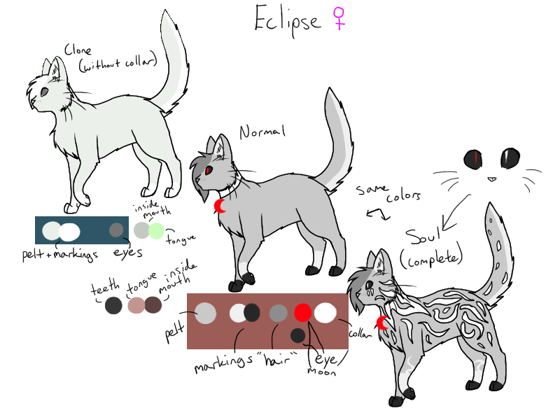 Eclipse -quick reference- [OLD]