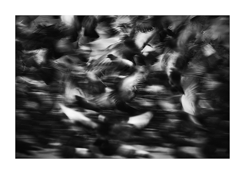 panic abstract by Freeq22 on DeviantArt