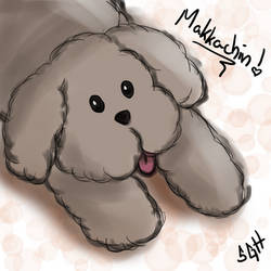 Chibi Makkachin