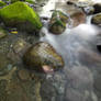 Mokihinui Creek