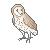 [free] barn owl icon!