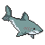 shark