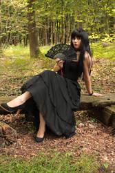 Fee-Tish Stock : Gothic Black Hairs And Dress III