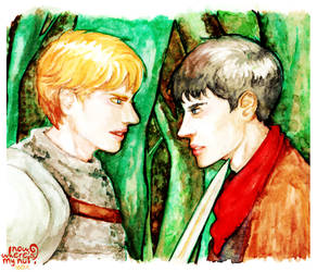 Merlin: random watercolor