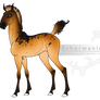 1345 | Foal Design