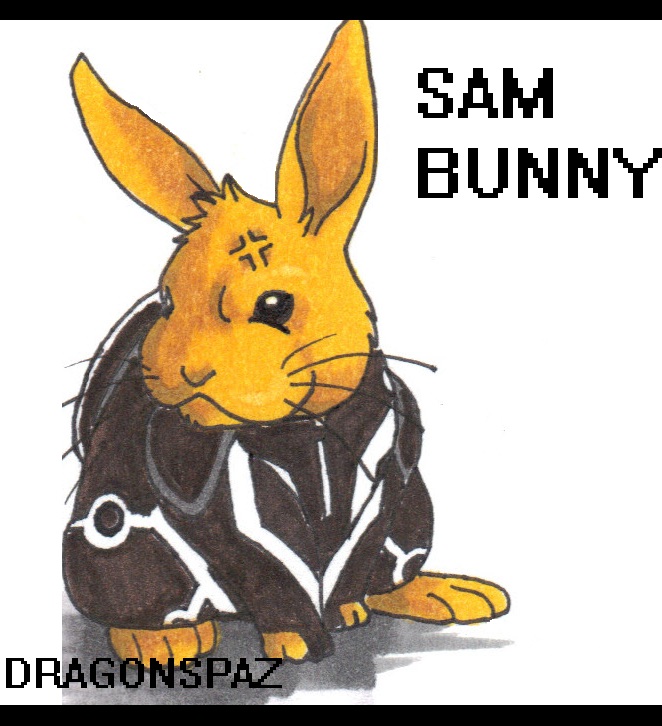 Sam Flynn Bunny