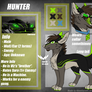 HUNTER ref (Wolf form)