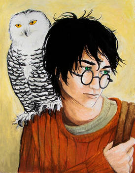 Harry and Hedwig