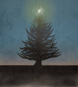 Lone Christmas Tree