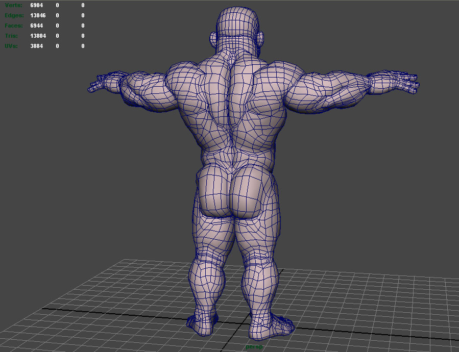 Stump 3D wireframe back