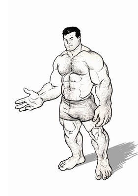 Beast proportions study