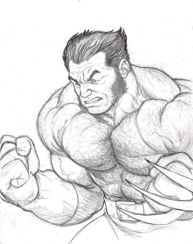 Wolverine rough sketch