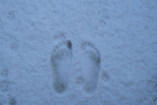 Footprints