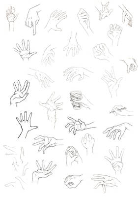 Reference: Hands