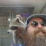 Gracie the Raccoon 2