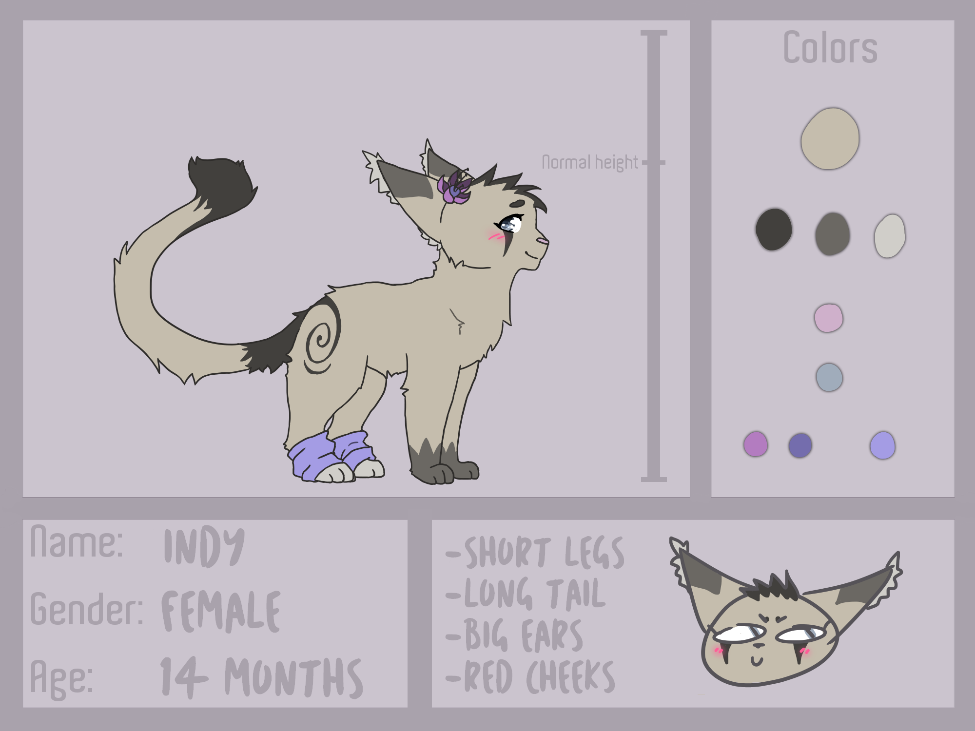 REF - Indy *Fursona*