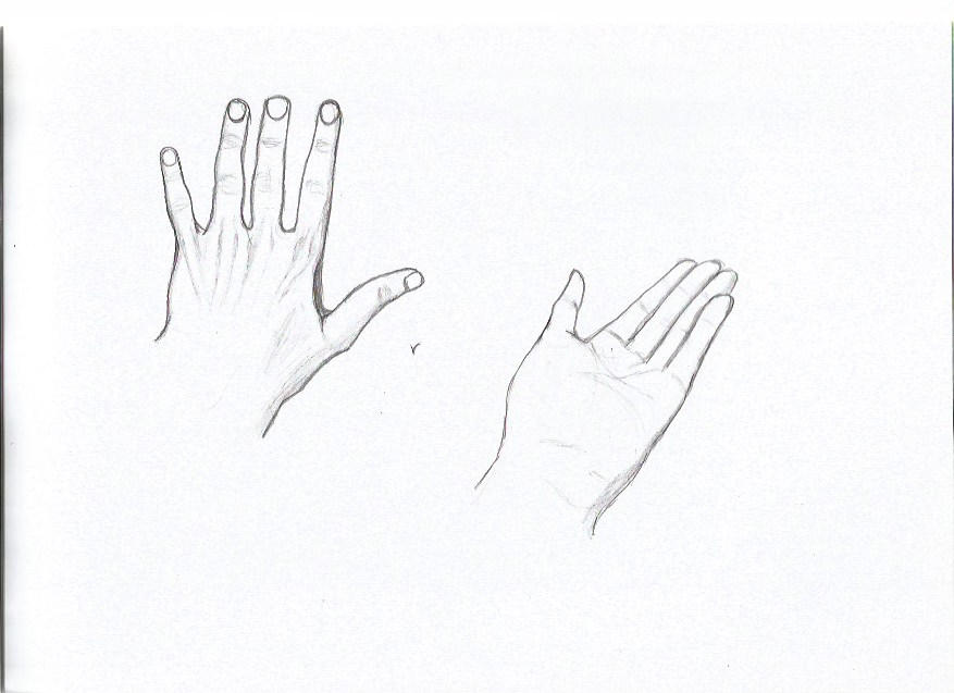 Hand Labdraw Hand Drawing Practice #1 by JawgS2 on DeviantArt