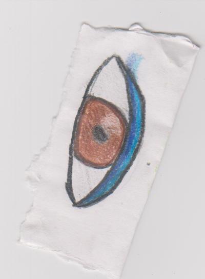 Eye