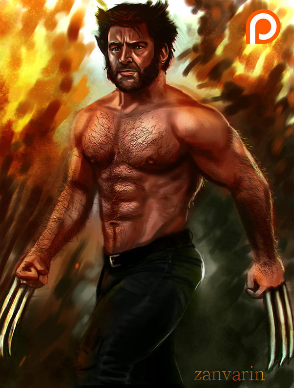 Wolverine -Patreon Gift Art-