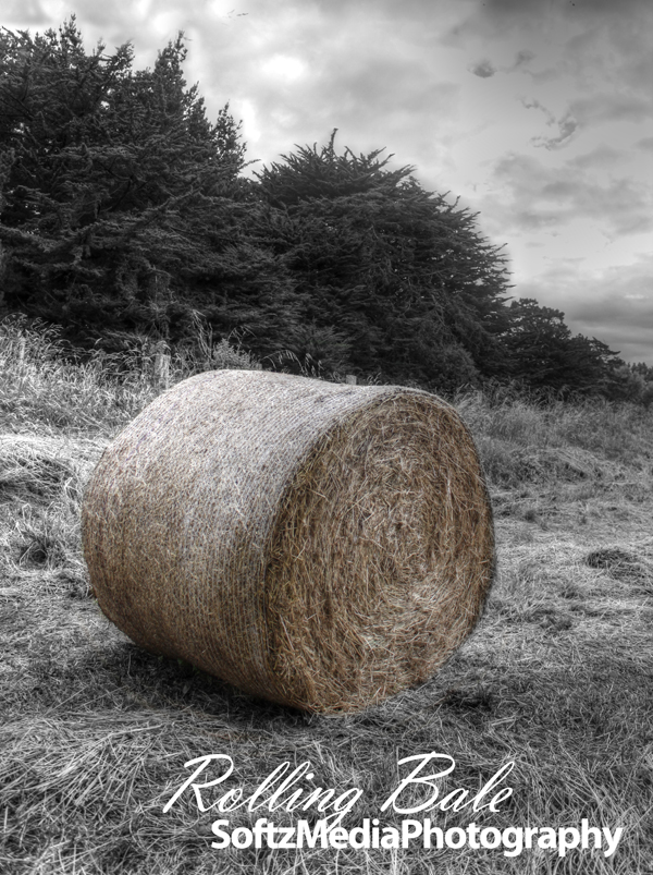 Rolling Hay