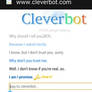 Cleverbot BEN Drowned Conversation #2