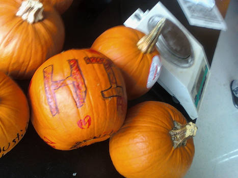 X Japan pumpkin -2-