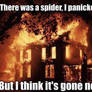 there was a spider