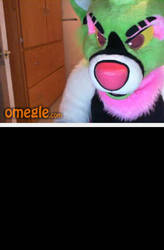 Another fursuiter