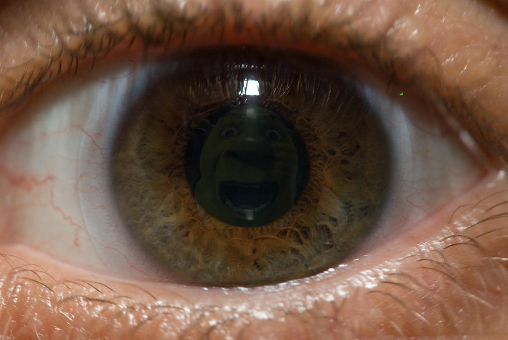 Eyeball Project by NathanBotsford on DeviantArt
