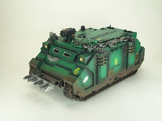 Salamanders Rhino