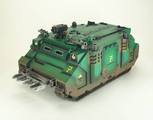 Salamanders Rhino