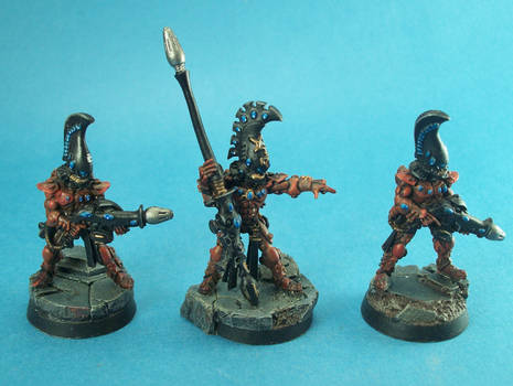 Eldar Fire Dragons