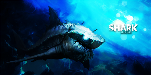 Shadow Shark - Banner