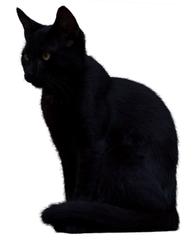 Black Cat 2 [PNG]