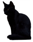 Black Cat 2 [PNG]