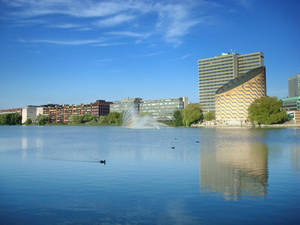 Lake In Copenhagen